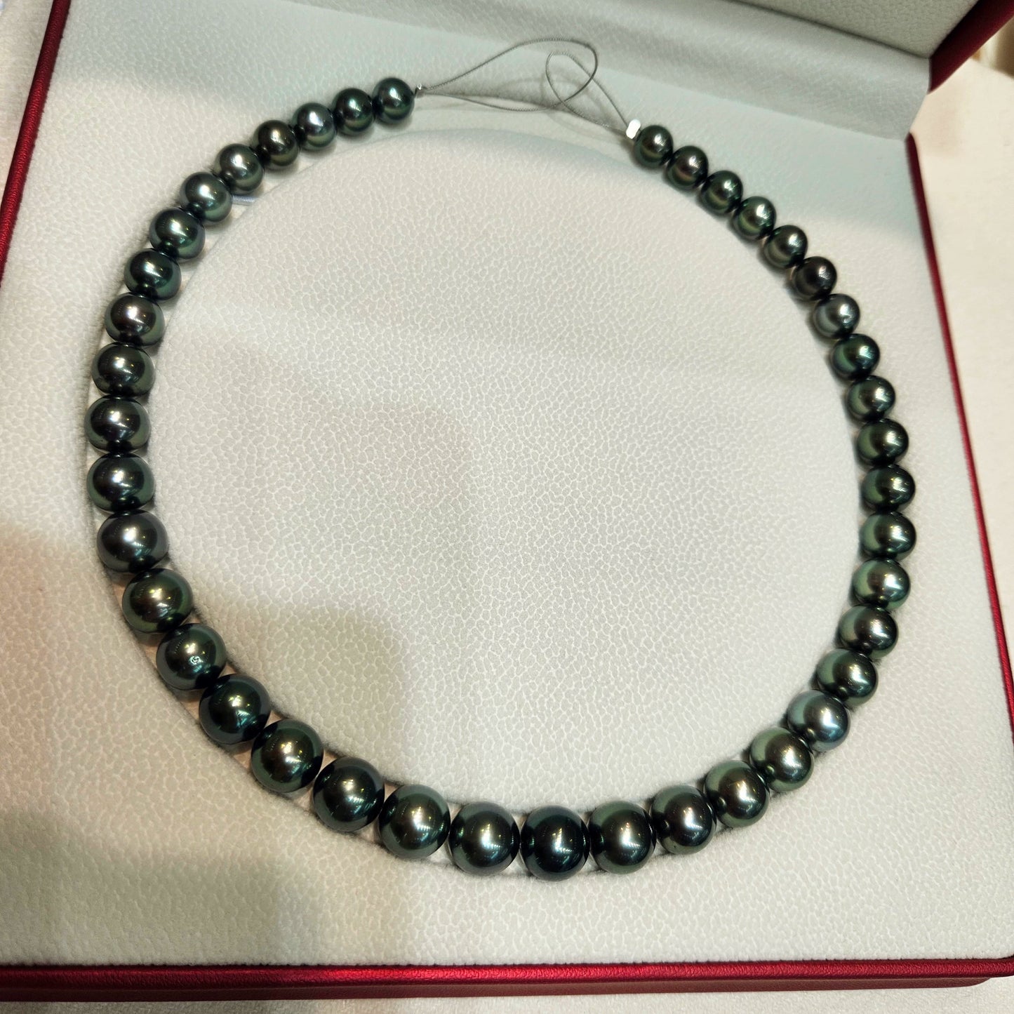 Tahitian Black Pearl Necklace Morandi Beaded Necklace Saltwater Pearl Strand High-End Jewelry Versatile Choker